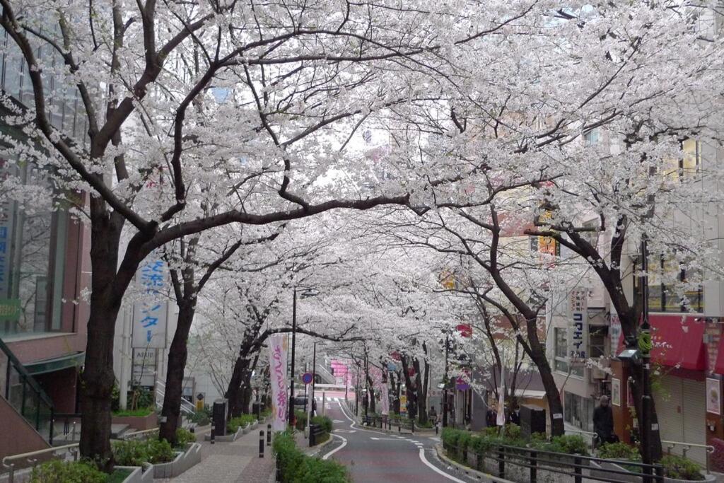 Apartamento Shibuya Bright Modern 40sqm Family Friendly!!